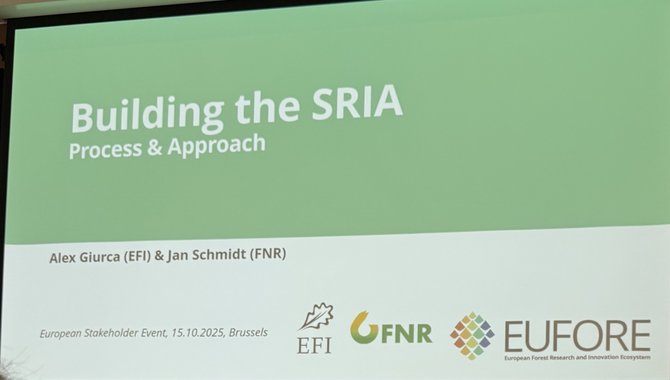 2025.10.27 Nyhet - Treteknisk på Forest Value i Brussel - bilde 1.jpeg