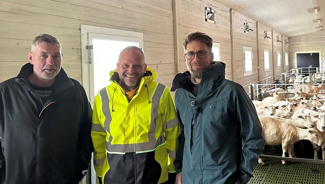 2025.11.04 Nyhet - Østerdal Tre utvikler nye byggsystemer - bilde 1 sauefjøs.jpg