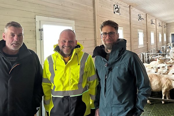 2025.11.04 Nyhet - Østerdal Tre utvikler nye byggsystemer - bilde 1 sauefjøs.jpg
