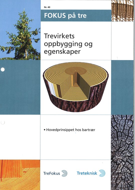 Fokus nr 40.jpg