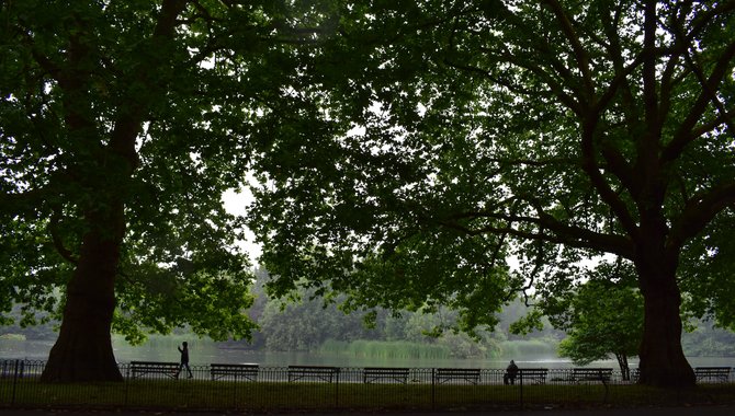 Battersea Park.jpg